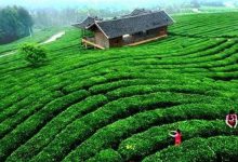 四川十大爬山好去处排行榜:蜀地仙山不计其数 却都不敌它|爱分享