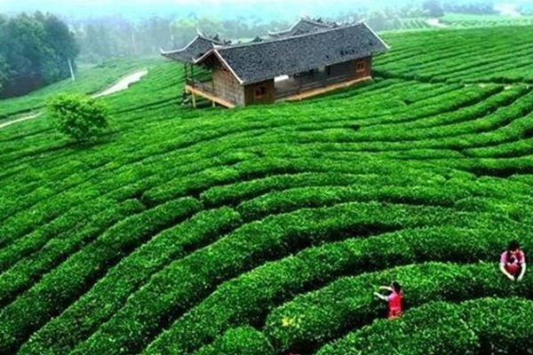 四川十大爬山好去处排行榜:蜀地仙山不计其数 却都不敌它插图9