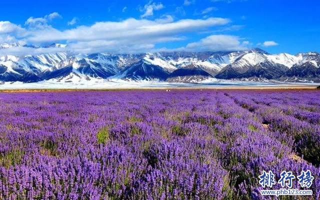 6月份适合去哪里旅游 十大6月国内旅游最佳去处插图