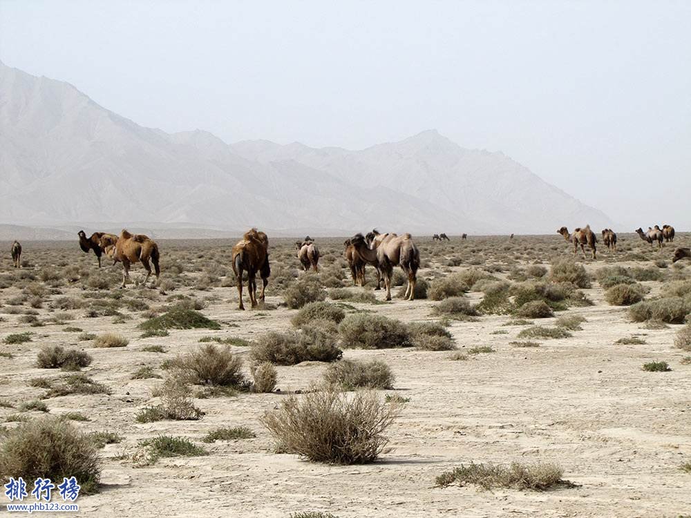 中国四大无人区:传说中有僵尸出没的生命禁区插图1
