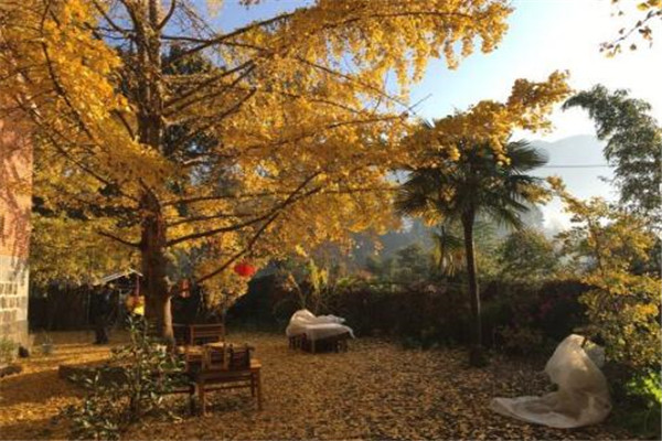 保山最好玩的地方推荐 保山好玩的地方排行榜插图3