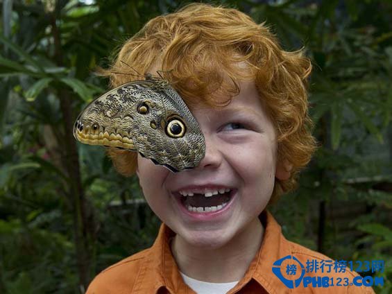 全美十大野生动物园排行榜插图7