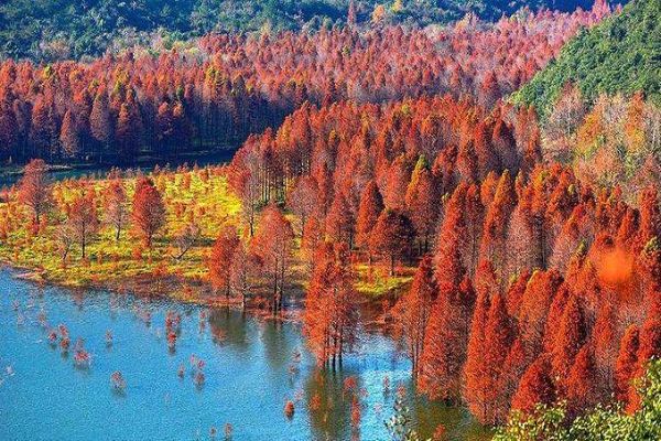 10-11月国内旅游最佳地排行榜 喀纳斯上榜第2美不胜收插图9