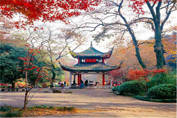 湖南旅游十大必去景区 凤凰古城只能排第三，第一竟是它插图5