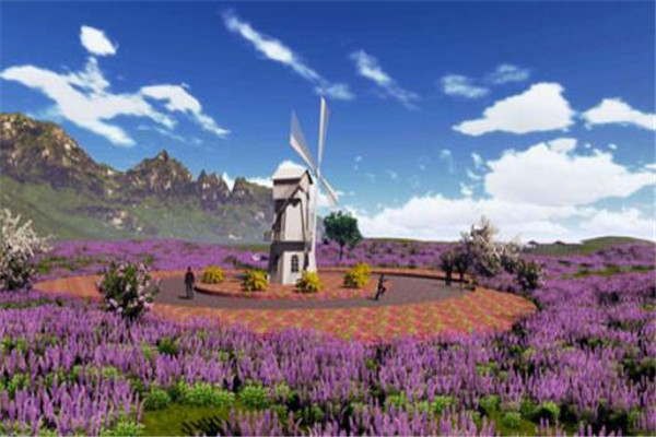世界最著名的十大花海:普罗旺斯薰衣草园超浪漫 第10看油菜花插图5