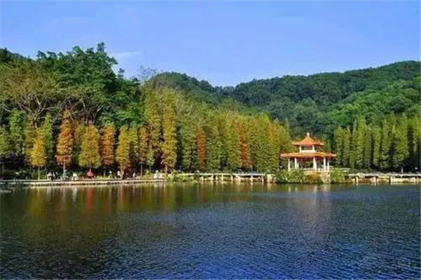 河源十大公园广场排名:仙塘公园上榜,巴伐利亚第九插图9 河源十大公园广场排名:仙塘公园上榜,巴伐利亚第九插图9