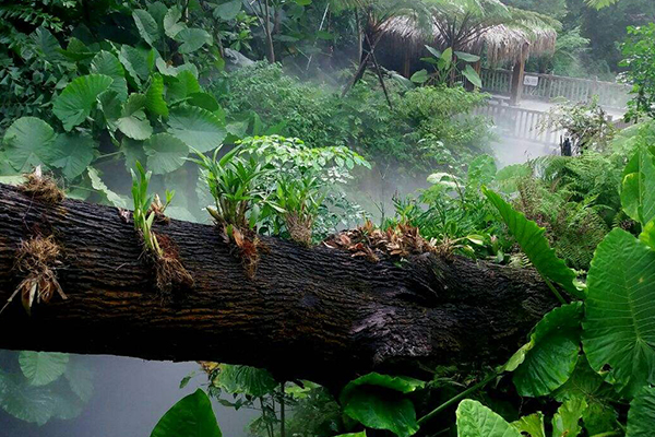 厦门旅游必去十大景点 环岛路上榜 第一名美到可以拍偶像剧插图1