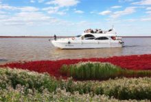 盘锦最好玩的地方推荐 盘锦好玩的地方排行榜|爱分享