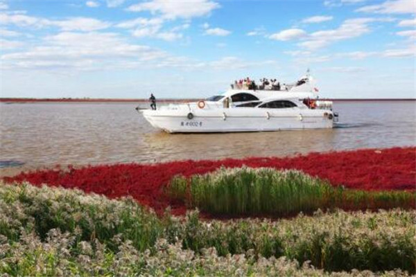 盘锦最好玩的地方推荐 盘锦好玩的地方排行榜插图9