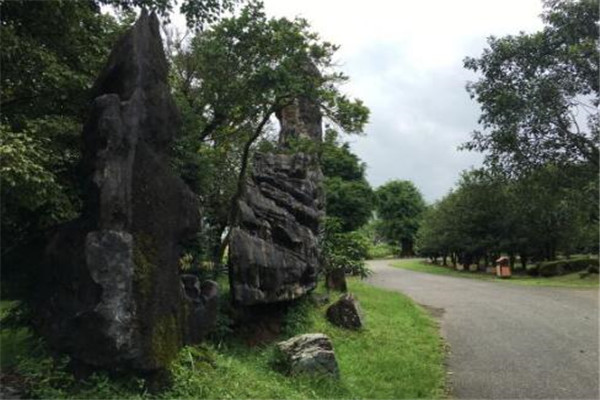 德宏州最好玩的地方推荐 德宏州好玩的地方排行榜插图1