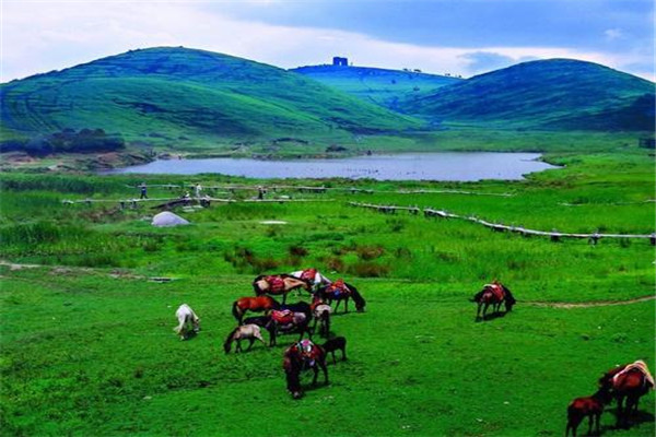 郴州十大风景名胜排名：高椅岭上榜，第四草原景色插图3
