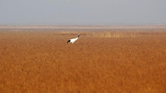 江苏省十大旅游景点排行插图9