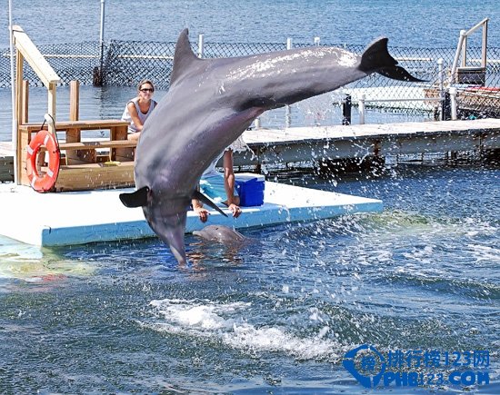 澳大利亚十大最美海滩排行榜插图6