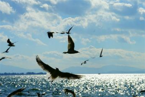 昆明十大人少好玩的景点：螳螂川上榜，第十是“人间仙境”插图8