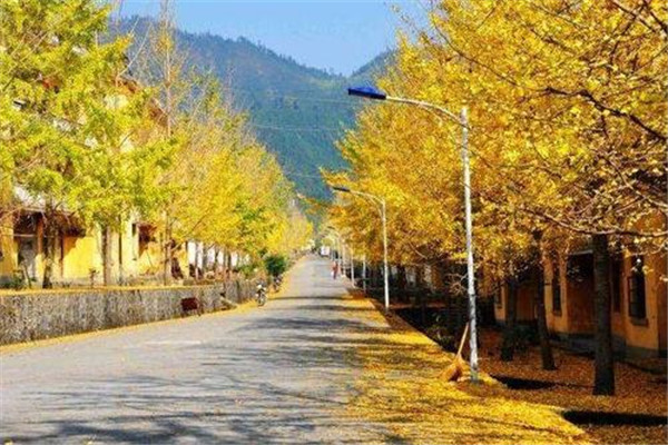 韶关十大公园广场排名:雄州公园上榜，第6看银杏插图5