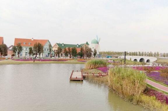 连云港好玩的地方排行榜 海州古城夜景最美,花果山一定要去插图5