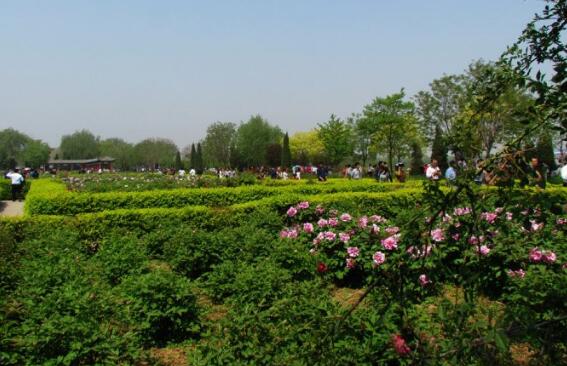 邢台好玩的地方排行榜 邢台十大好玩的地方推荐插图4