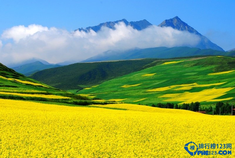 全球最美十大花海 超出你想象的极致美丽插图4