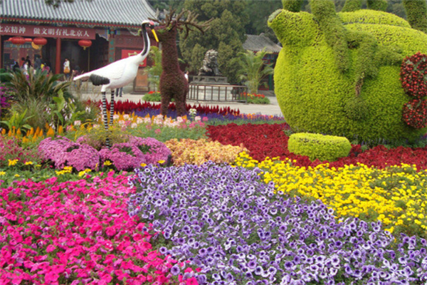 泉州十大公园排行榜：茶都广场上榜，文贞公园第八插图3