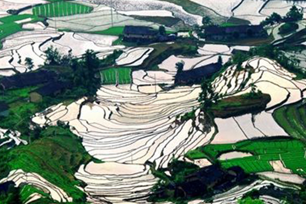 亚洲十大最美梯田:元阳梯田排第五，第一名在我国贵州境内插图8