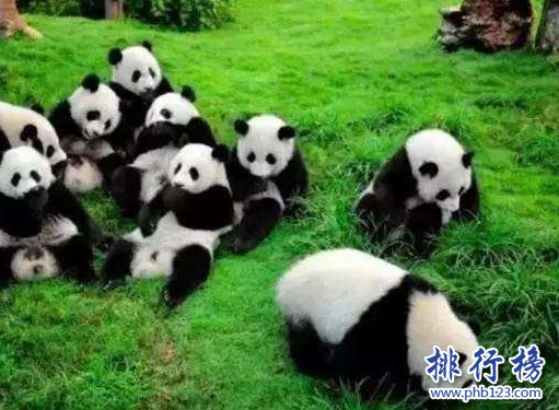 中国必去的10个地方,你去过几个?插图6