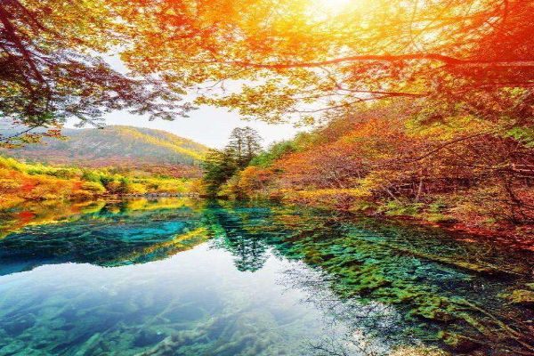 10-11月国内旅游最佳地排行榜 喀纳斯上榜第2美不胜收插图1