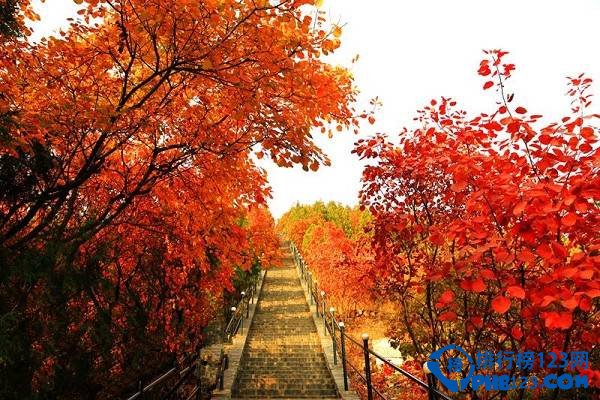 国内十大赏枫胜地排行榜插图7