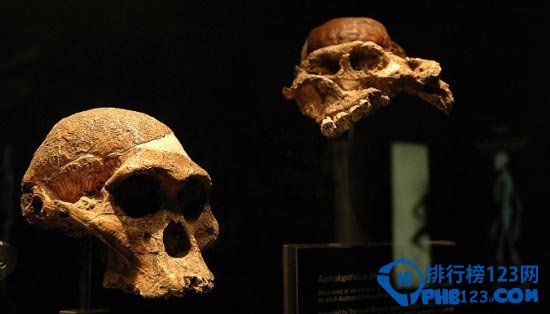 南非十大必游之地排行榜插图4