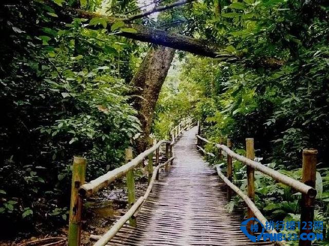 盘点夏日国内八大避暑好去处 你选择去哪里插图