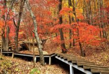 本溪最好玩的地方推荐 本溪好玩的地方排行榜|爱分享