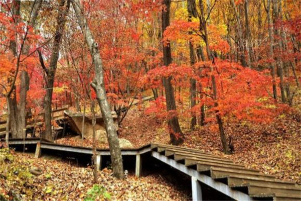 本溪最好玩的地方推荐 本溪好玩的地方排行榜插图9