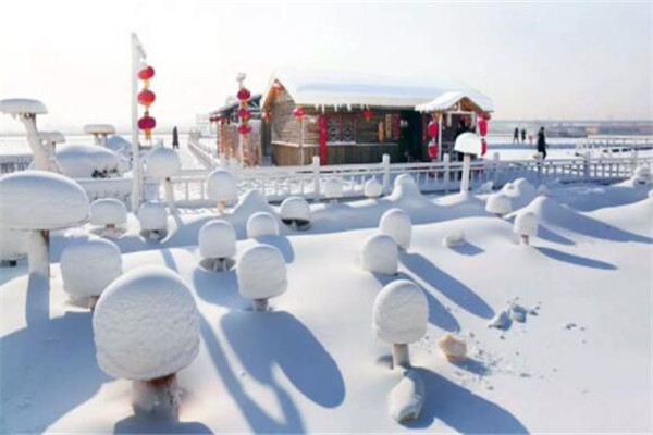 盘锦最好玩的地方推荐 盘锦好玩的地方排行榜插图4