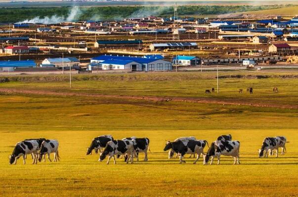 中国十大赏秋胜地 稻城亚丁上榜，第一堪称“人间仙境”插图8