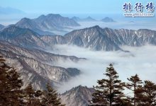 成都有什么好玩的地方？成都旅游必去十大景点排行榜|爱分享