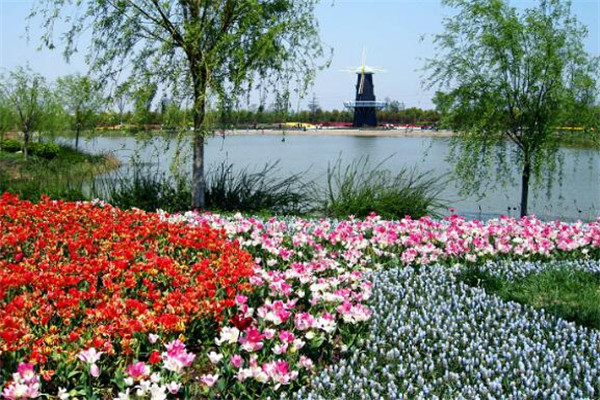 上海值得去的冷门景点 新场古镇上榜，第七国内规模靠前插图2