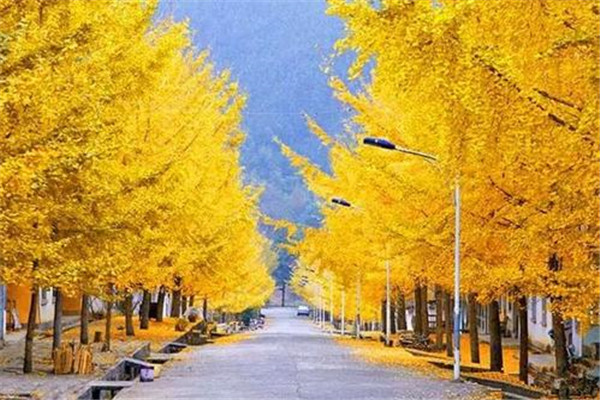 韶关十大风景名胜排名：金鸡岭上榜，第3仙气十足插图4