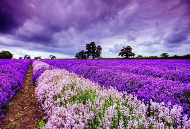 全球十大必游地排行榜 这些享誉世界的旅游胜地，你最想去哪插图6