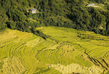 全球十大最美梯田排名：江西江岭梯田第一(中国7地入榜)|爱分享