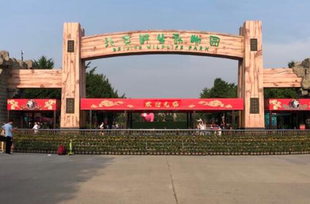 中国最值得去的10大动物园 大连森林动物园上榜第一清朝开放插图4