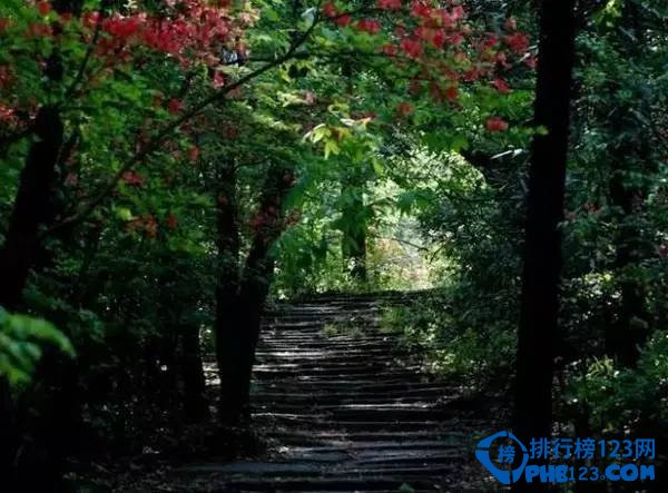 徽州十大古道 去徽州一定要去的古道插图1