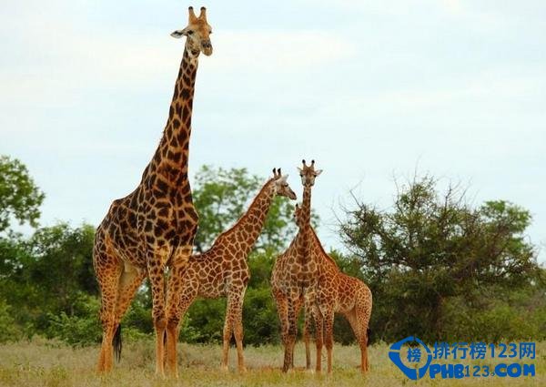 2016最值得旅游的十大胜地 值得一去插图