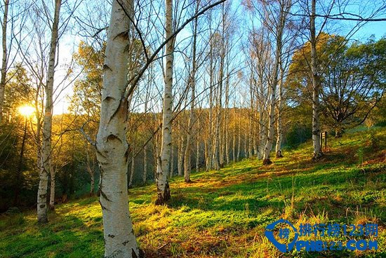 全球十大最佳赏秋胜地排行榜插图6