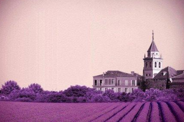 法国最好玩的城市排名 巴黎稳居第一，图卢兹只排第八插图1