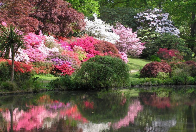 全球五大花园排行榜 美到令人惊叹，大自然的魅力插图2