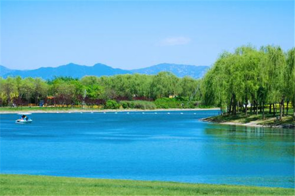 顺义旅游必去景点排行榜：唐指山风景区第3 第4采摘樱桃插图6