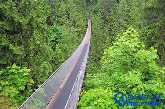 全球十大让人心惊胆战的桥排行榜插图5