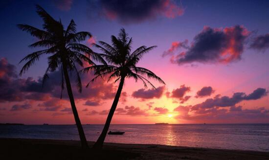 粉色沙滩是哪个国家的,粉红沙滩是如何形成的插图2