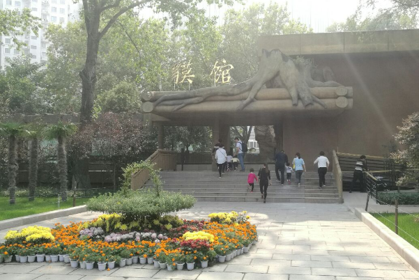 郑州必去的十大景点：少林寺登榜，它是四大古书院之一插图4