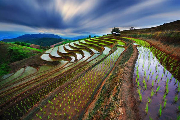 亚洲十大最美梯田:元阳梯田排第五，第一名在我国贵州境内插图5