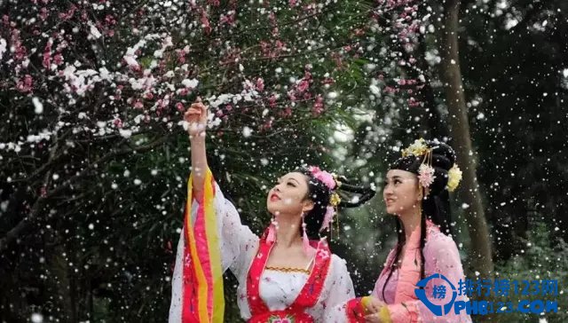 国内十大赏梅胜地插图9